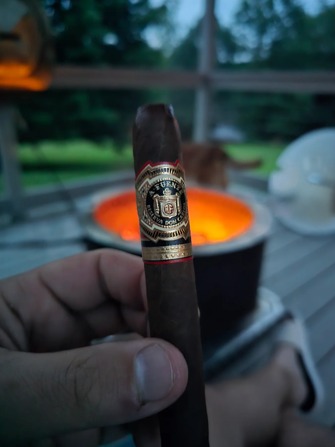 Arturo Fuente Don Carlos